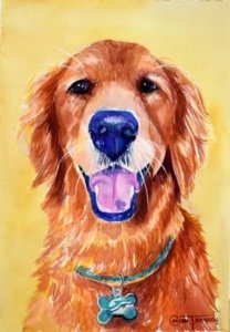 Read more about the article Colleen Thompson Pet Portraits