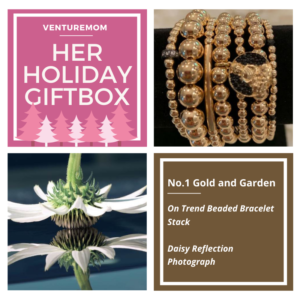 Read more about the article VentureMom Holiday Gift Box No.1