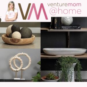 Read more about the article VentureMom @Home