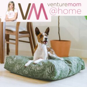 Read more about the article VentureMom @Home Pet Beds Edition