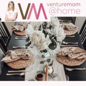 Read more about the article VentureMom @Home This Fall