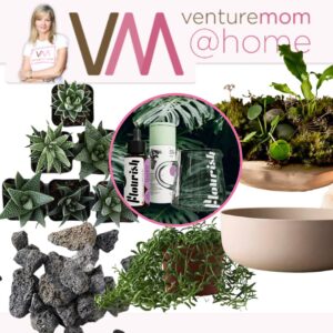 Read more about the article VentureMom @Home With Succulents