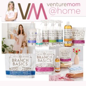 Read more about the article What Would VentureMom Use to Clean the House?