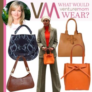 Read more about the article What Would VentureMom Wear for a New Handbag?