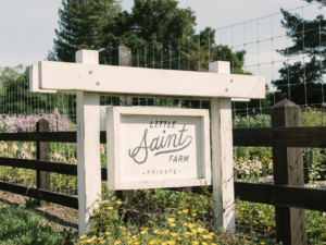 Read more about the article Where Would VentureMom Eat in Healdsburg?