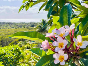 Read more about the article What Would VentureMom Shop Buy from Jo Malone?